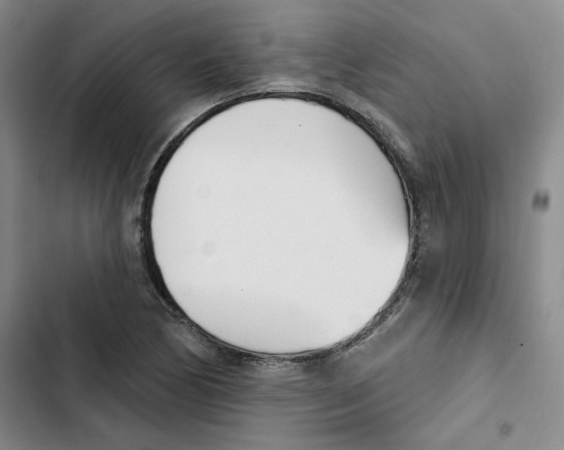 X0000102871170200809151228