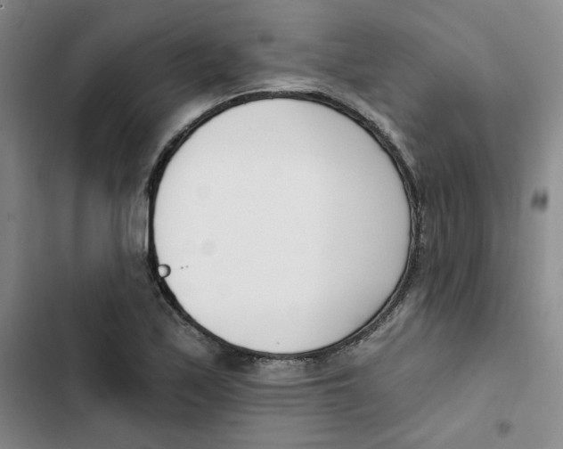 X0000102871171200809151228