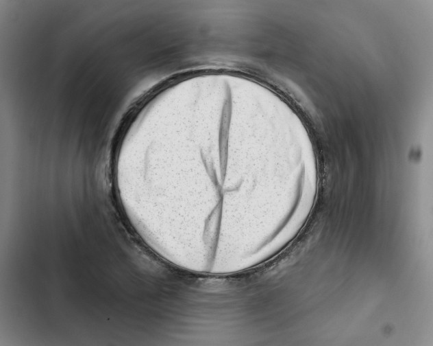 X0000102871172200809151228