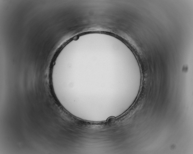 X0000102871173200809151228