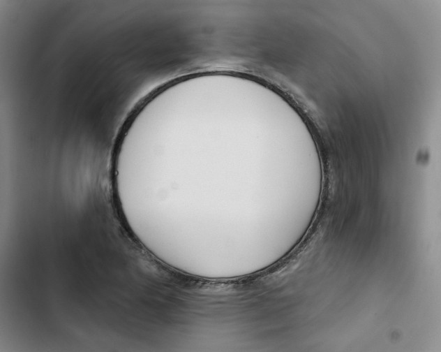 X0000102871174200809151228