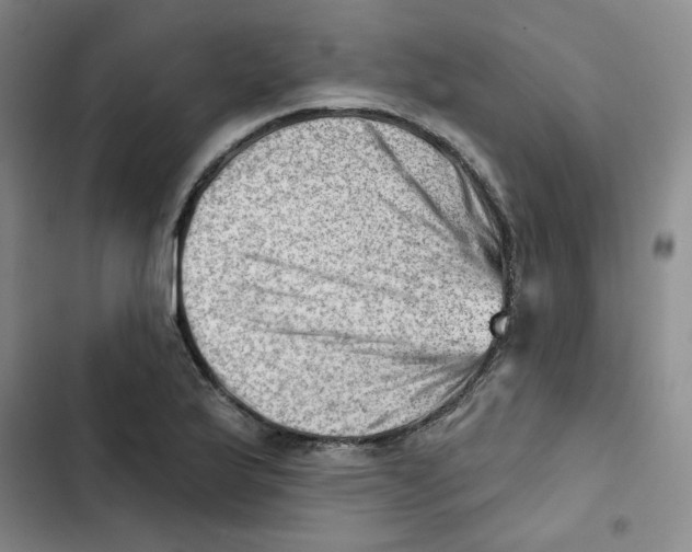 X0000102871175200809151228