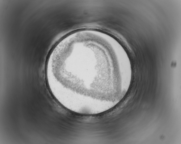 X0000102871176200809151228