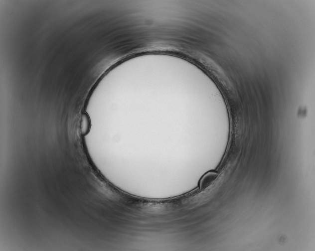 X0000102871177200809151228