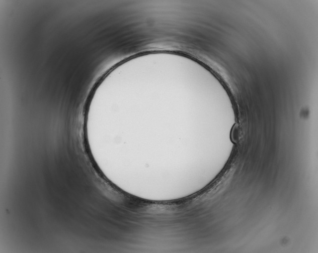 X0000102871179200809151228