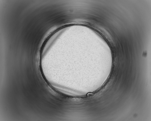 X0000102871180200809151228