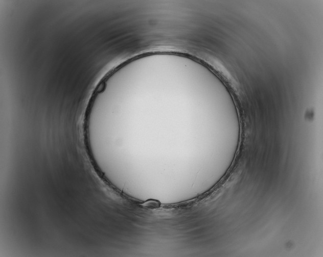 X0000102871181200809151228