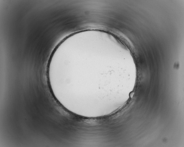 X0000102871182200809151228