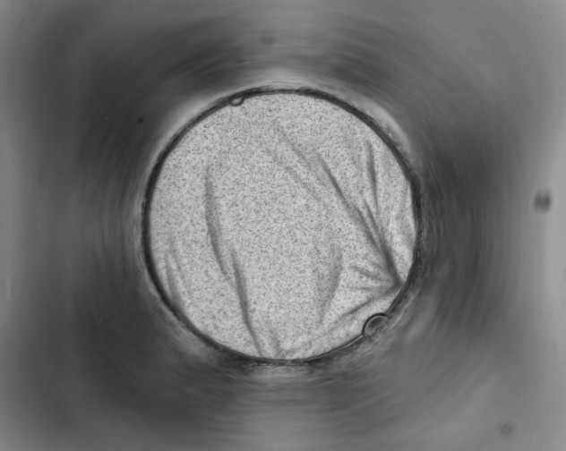 X0000102871183200809151228