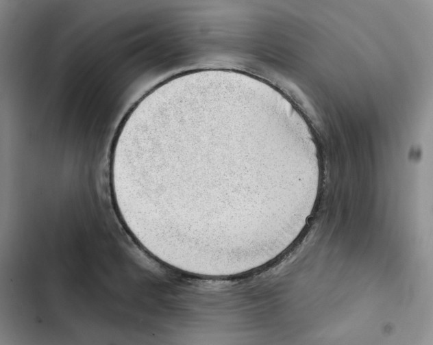 X0000102871184200809151228