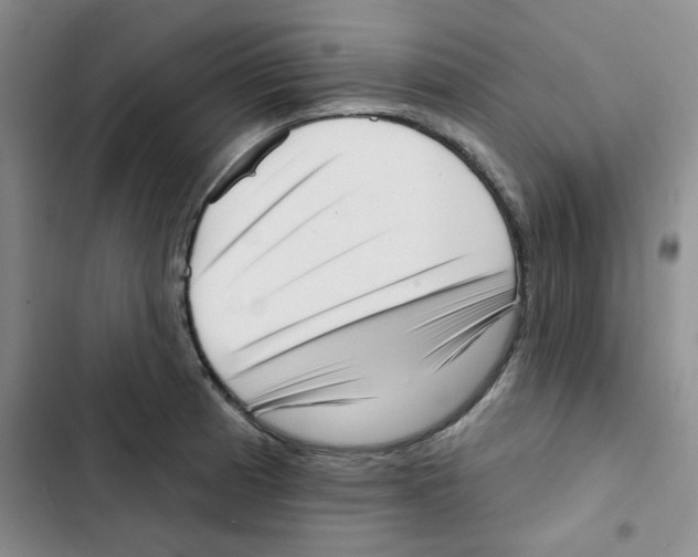 X0000102871185200809151228