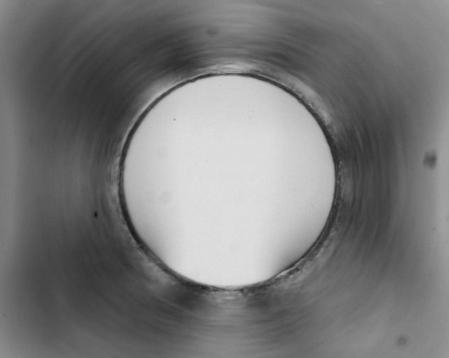 X0000102871186200809151228