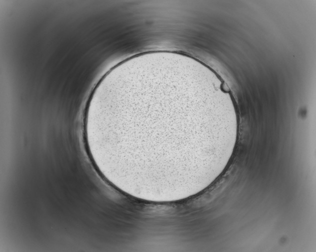 X0000102871187200809151228