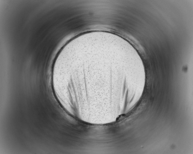 X0000102871188200809151228