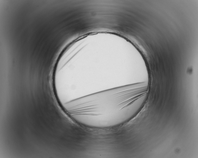 X0000102871189200809151228