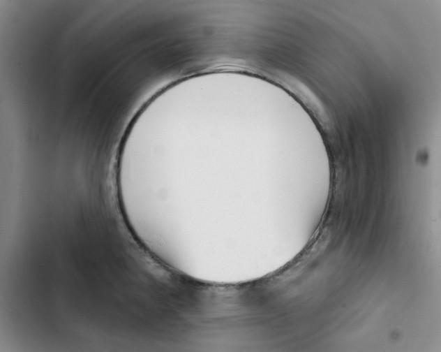 X0000102871190200809151228