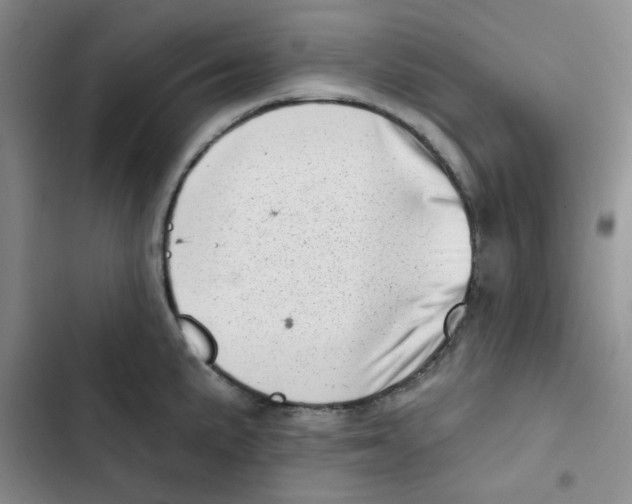 X0000102871191200809151228