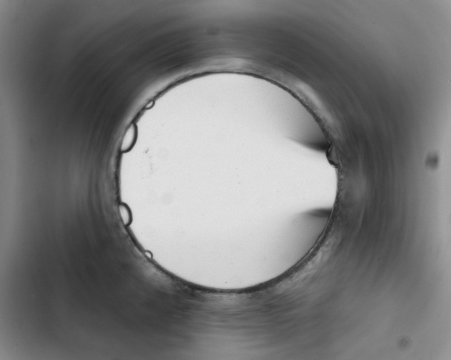 X0000102871192200809151228