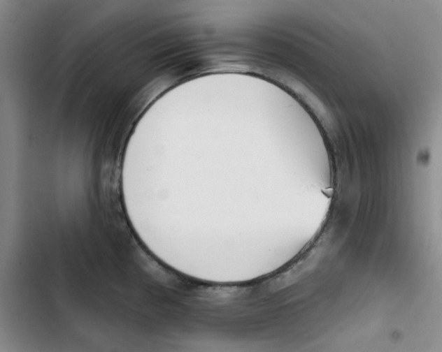 X0000102871193200809151228