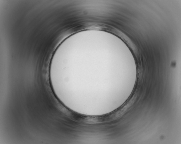 X0000102871194200809151228