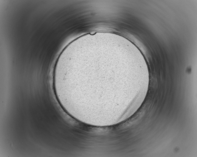 X0000102871195200809151228