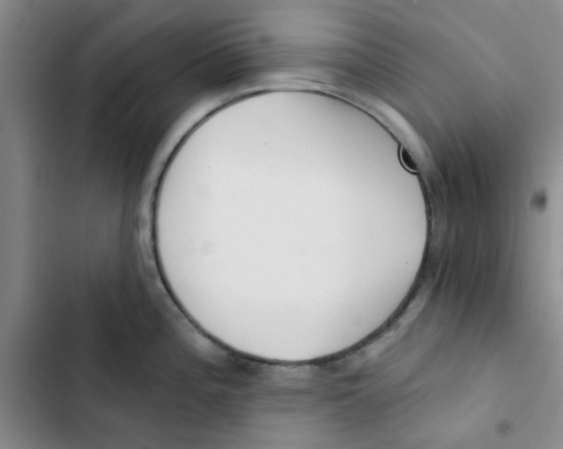 X0000102871196200809151228