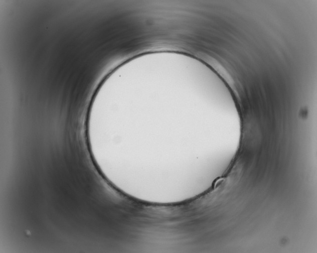 X0000102871197200809151227