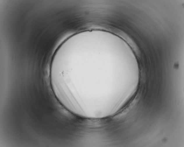 X0000102871198200809151227