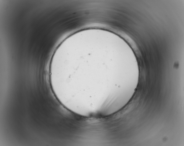 X0000102871199200809151227