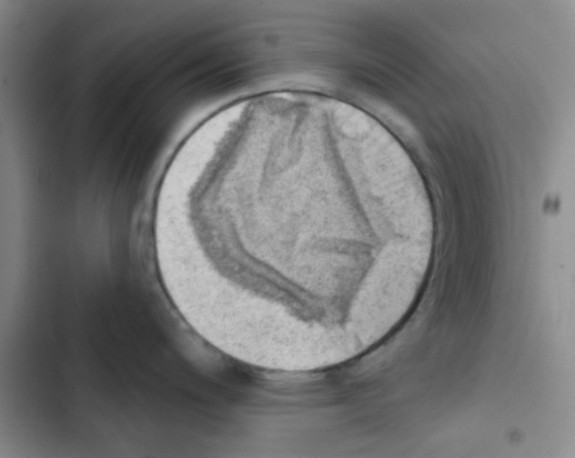 X0000102871200200809151227