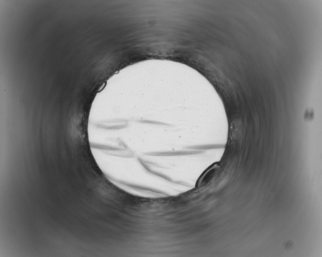 X0000102871202200809151227