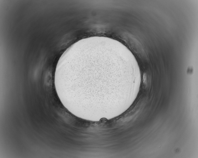 X0000102871203200809151227