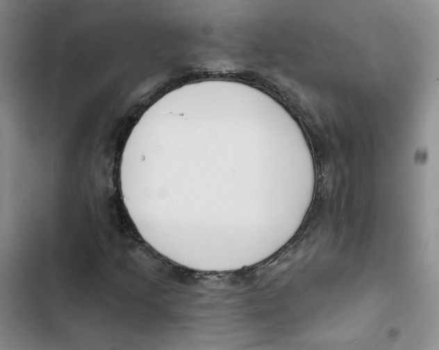 X0000102871205200809151227