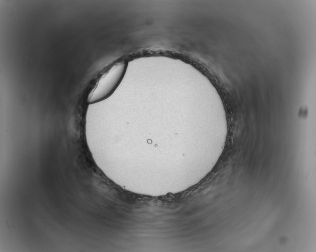 X0000102871207200809151227