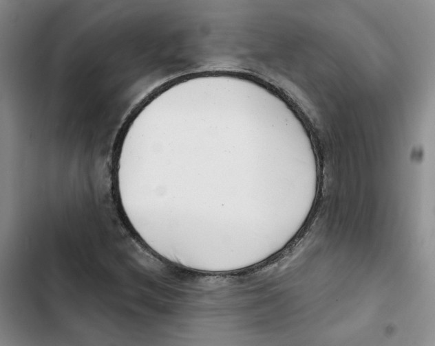 X0000102871212200809151227