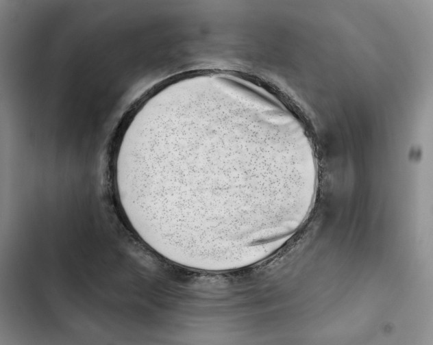 X0000102871215200809151227