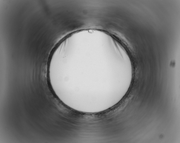 X0000102871220200809151227