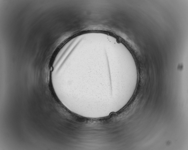 X0000102871221200809151227