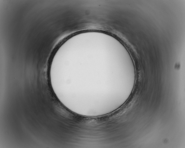 X0000102871222200809151227