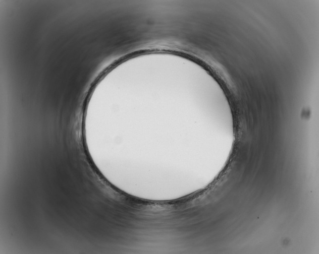 X0000102871224200809151227