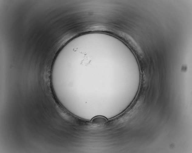 X0000102871225200809151227