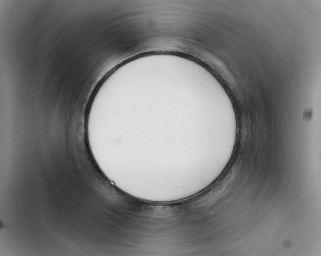 X0000102871226200809151227