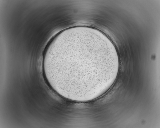 X0000102871227200809151227