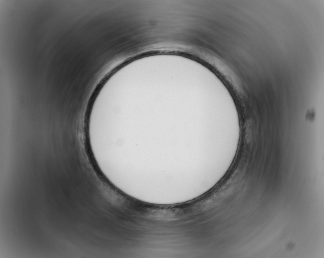 X0000102871229200809151227