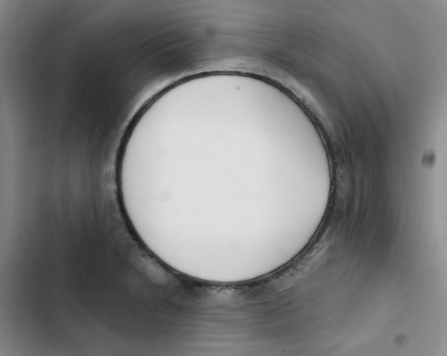 X0000102871230200809151227