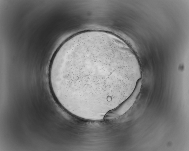 X0000102871231200809151227