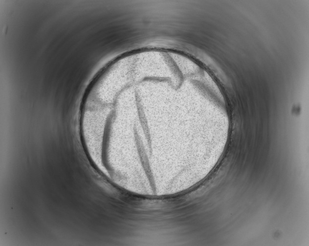 X0000102871232200809151227