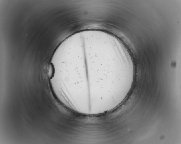 X0000102871233200809151227