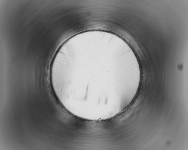 X0000102871234200809151227