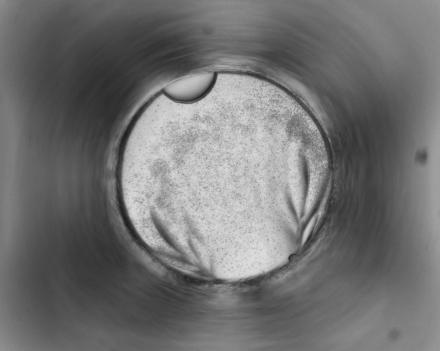 X0000102871235200809151227